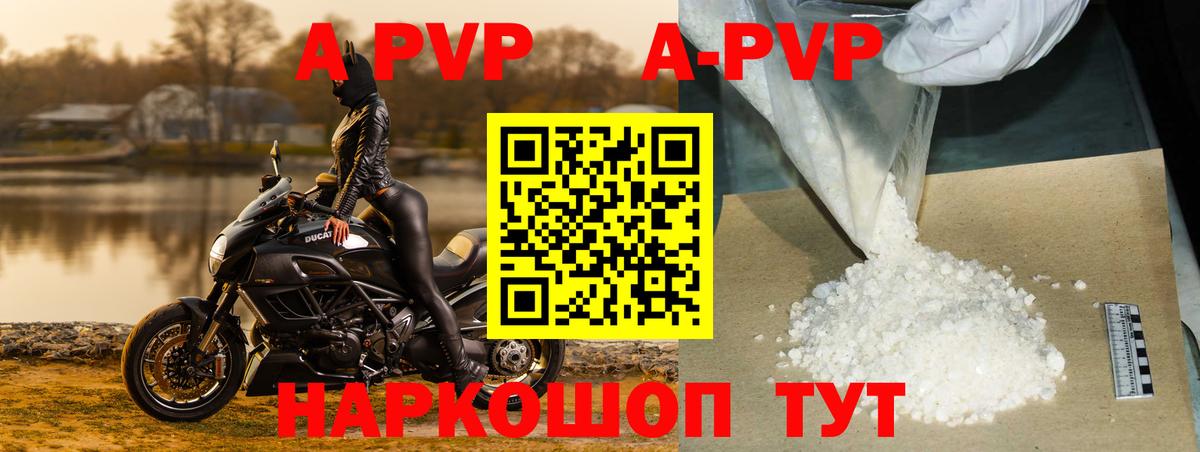 A PVP СК КРИС Сунжа