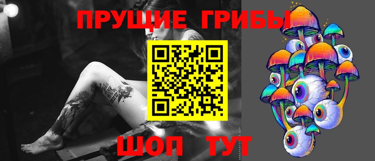Псилоцибиновые грибы прущие грибы Сунжа